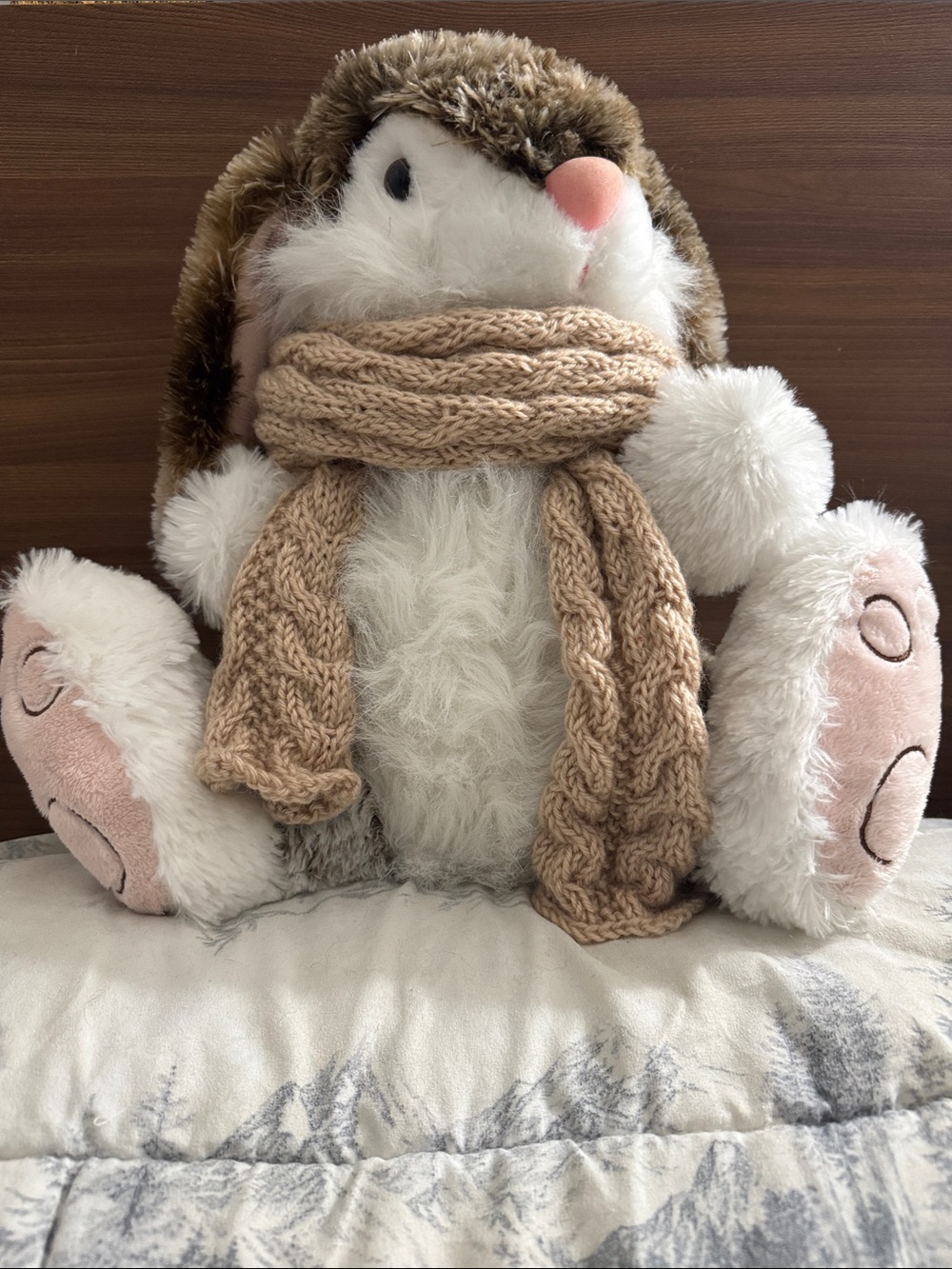 Bunny Plush 27 cm and scarf 🧣